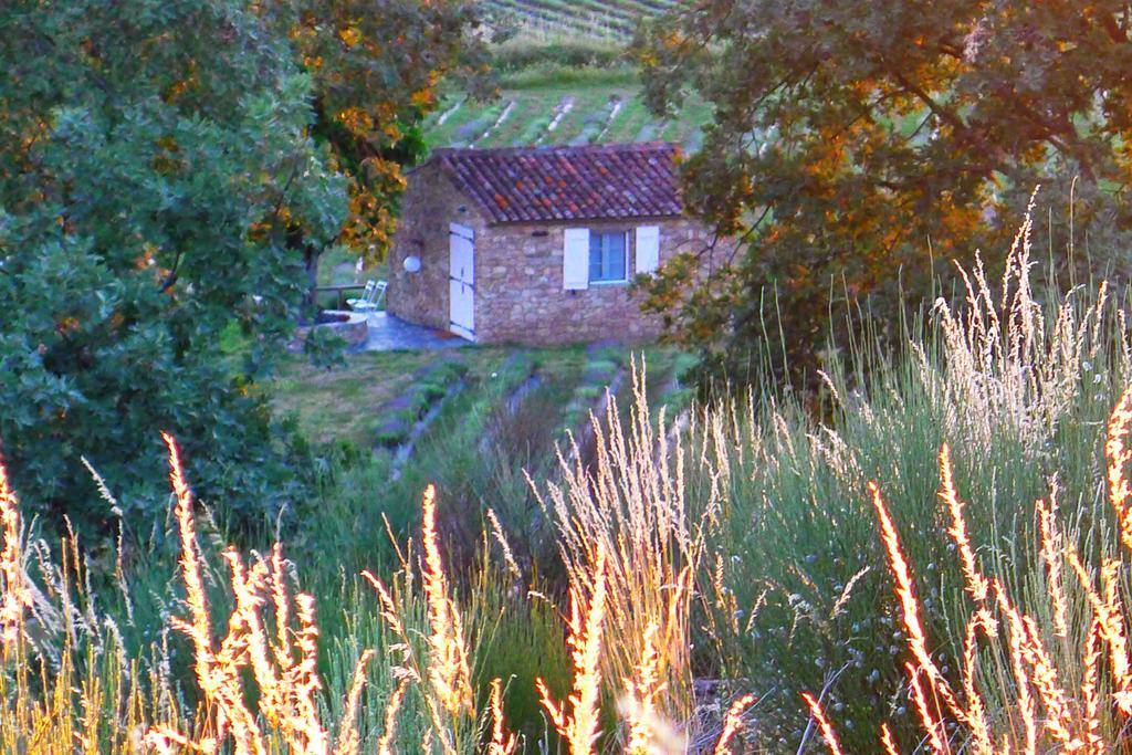 Quinta Das Lavandas Castelo de Vide Luaran gambar