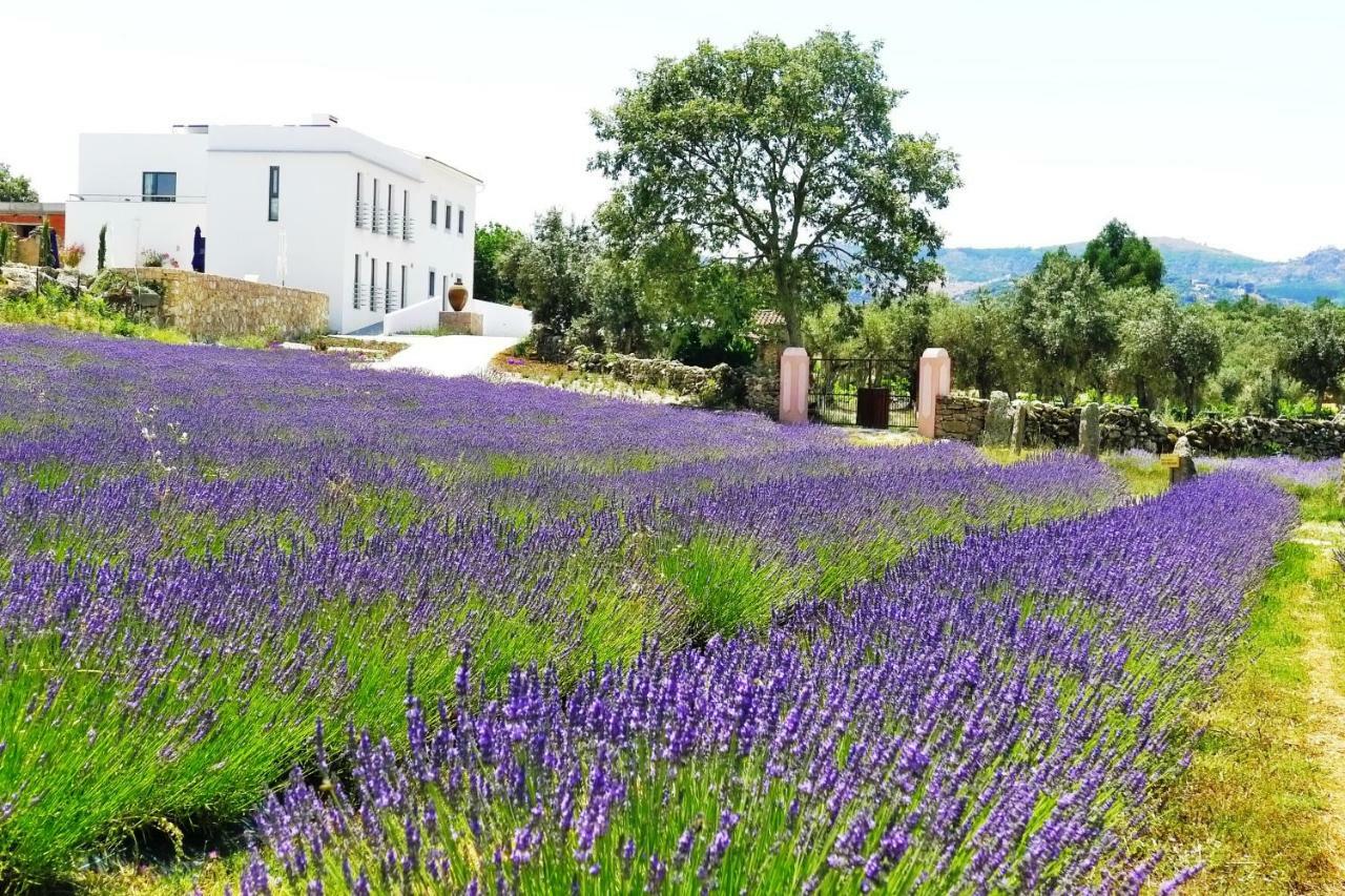 Quinta Das Lavandas Castelo de Vide Luaran gambar